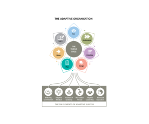 Infografik-Design von Natako für dieses Projekt | Design: #7535558