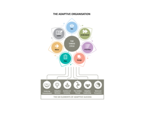 Infografik-Design von Natako für dieses Projekt | Design: #7535565