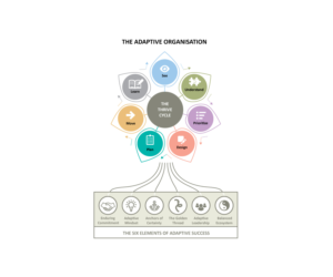 Infographic Design by Natako