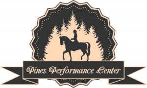Logo Design by aidenma23 for this project | Design #7441668