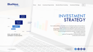 Web Design by dii for Blue Nova Advisors AG | Design: #7457800