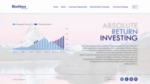 Web Design by dii for Blue Nova Advisors AG | Design: #7488829