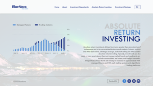 Web Design by dii for Blue Nova Advisors AG | Design: #7488840