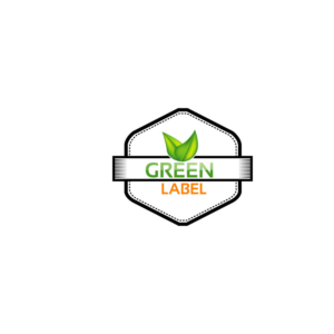 Logo Design by freelancerrashed
