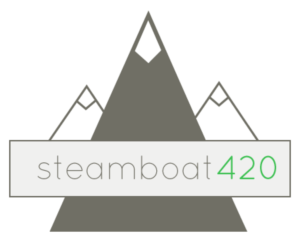 Logo Design by Andrew Haupt