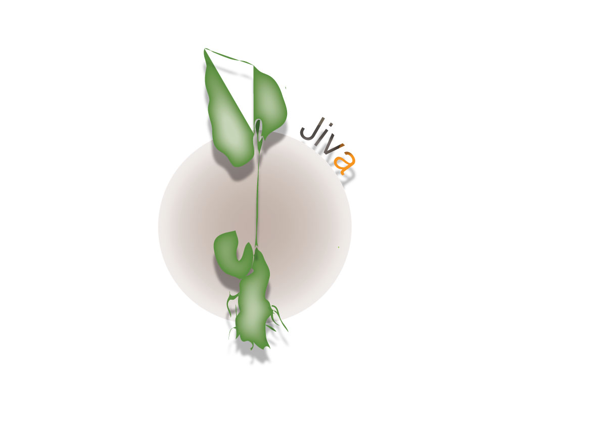 Logo Design by Miles Practiss for this project | Design #1948745