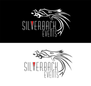 Logo Design by Solver