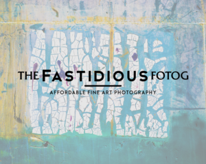 Logo Design by Ana White for The Fastidious Fotog | Design #7531232