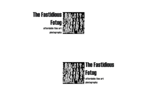 Logo Design by Ves-Boycheva for The Fastidious Fotog | Design: #7470460