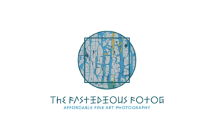 Logo Design by Ves-Boycheva for The Fastidious Fotog | Design: #7470461