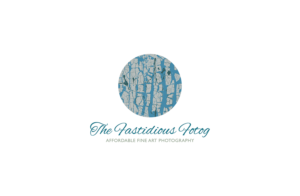 Logo Design by Ves-Boycheva for The Fastidious Fotog | Design: #7470462
