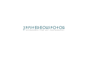 Logo Design by Ves-Boycheva for The Fastidious Fotog | Design: #7525946