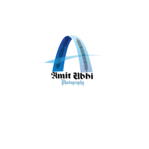 Logo Design by alizaever