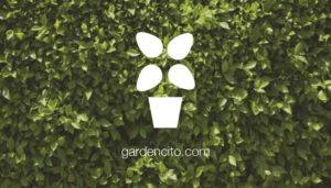Business Card Design by vallisdani for Bit Farm S.C. BFA071008AP1 | Design: #7465518