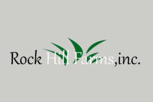 Logo Design by A D Makesar