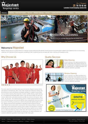 Web Design by Expert Designer