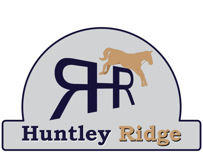 Logo Design by Humble Gallery for Down South Industries, LLC | Design #384566