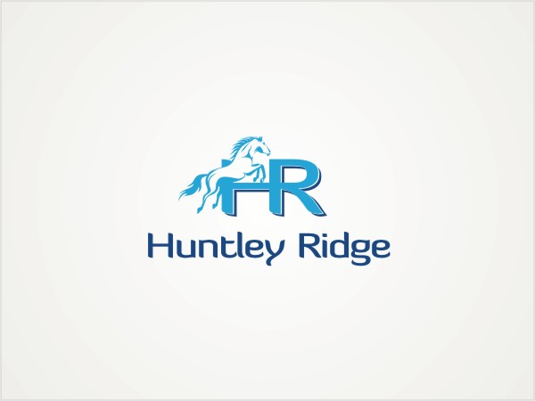 Logo Design by Hypergraph® for Down South Industries, LLC | Design #382496