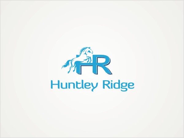 Logo Design by Hypergraph® for Down South Industries, LLC | Design #382497