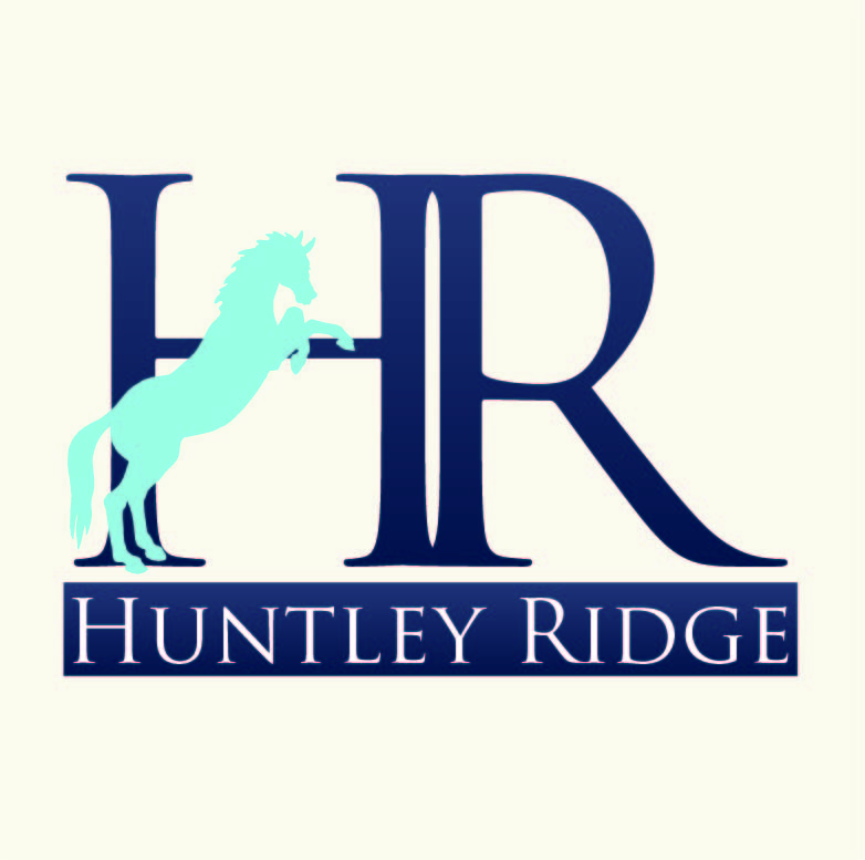 Logo Design by Design Possibilities for Down South Industries, LLC | Design #384847