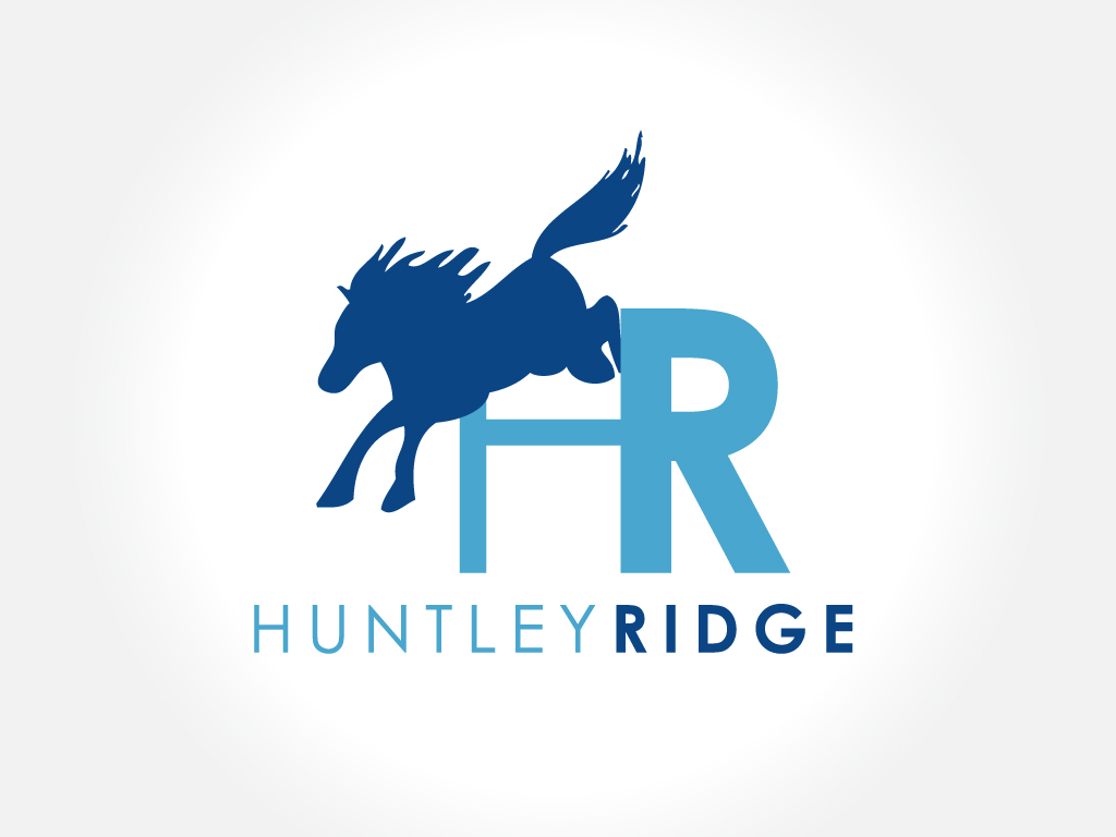 Logo-Design von HyperTime Studio für Down South Industries, LLC | Design #382126