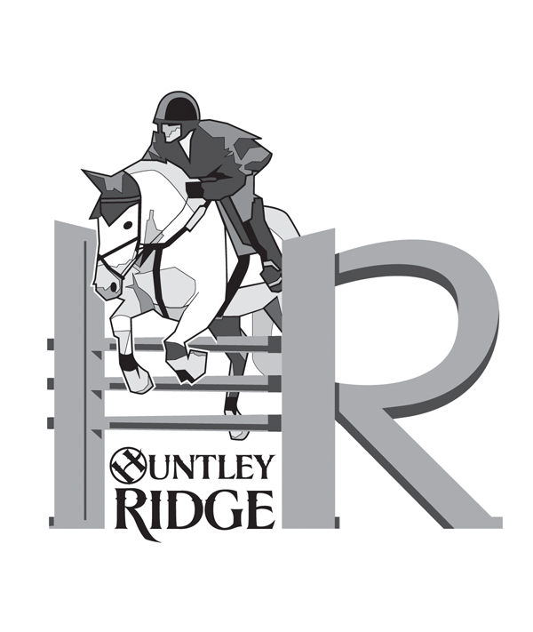 Logo-Design von DevilDino für Down South Industries, LLC | Design #383637