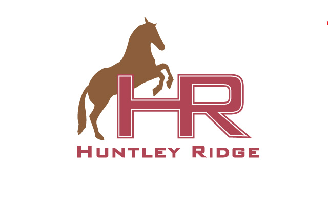 Logo Design by PATRICK KING GRAPHICS for Down South Industries, LLC | Design #381778