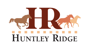Logo Design by PATRICK KING GRAPHICS