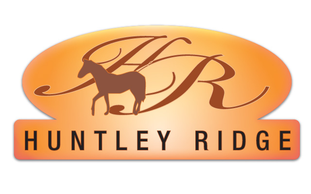 Diseño de Logo por PATRICK KING GRAPHICS para Down South Industries, LLC | Diseño #382773