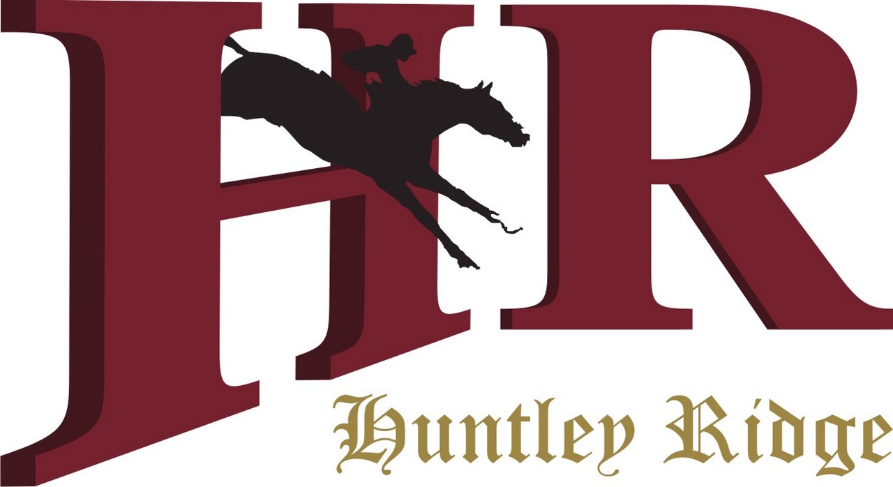 Logo Design by curvesDesign for Down South Industries, LLC | Design #384747