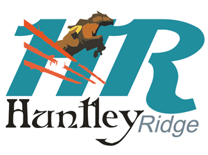 Logo Design by conceptbuilder for Down South Industries, LLC | Design: #380792