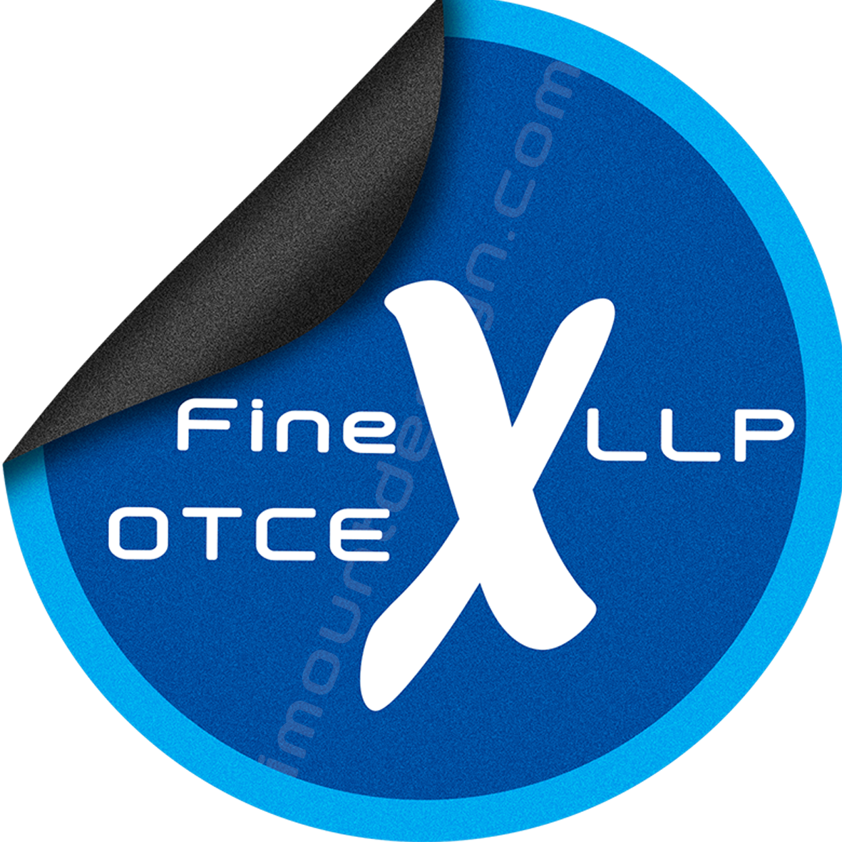 Logo Design by iMountDesign.com for Finex LLP | Design #1913528