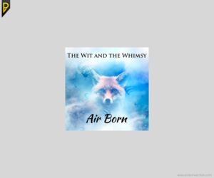 CD Cover Design by poisonvectors