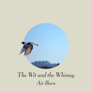 CD Cover Design by CBKE