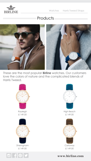Email Marketing Design by Parul for Birline Ltd. | Design: #7544223