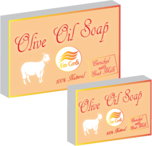 Packaging Design by Arthi for Ein Gedi Cosmetics ltd. | Design: #7631919