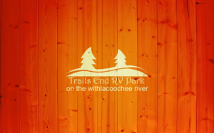 Logo Design by rehabeletriby for this project | Design: #7554123