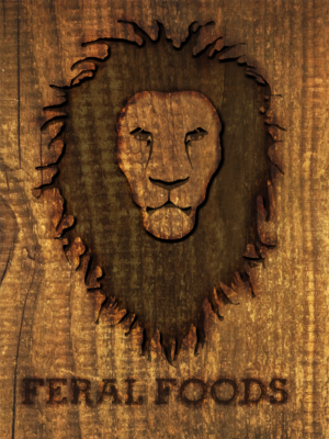 Logo Design by zoxo69