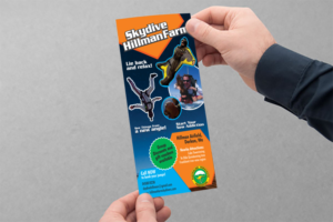 Flyer Design by ESolz Technologies