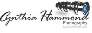 Logo Design by Janaka CK
