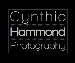 Logo Design by AmberDukehart