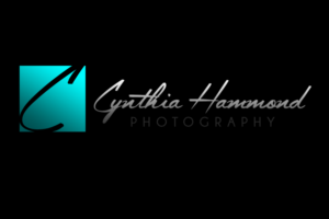 Logo Design by Prolific Graphics for Cynthia Hammond Photography | Design: #7492980