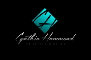 Logo Design by Prolific Graphics for Cynthia Hammond Photography | Design: #7492981