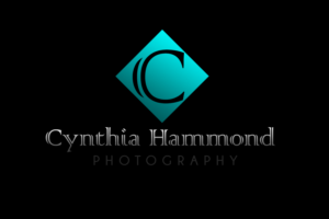 Logo Design by Prolific Graphics for Cynthia Hammond Photography | Design: #7492984