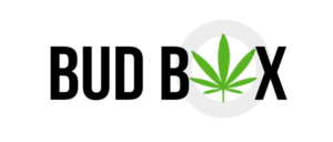 Logo Design by juliadann