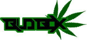 Logo Design by Maze