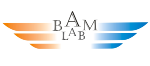 Logo Design by PKDC