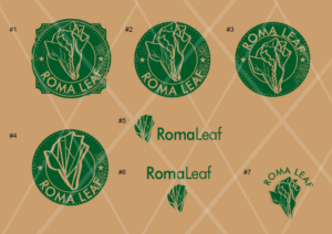 Packaging Design by Vicez for this project | Design: #7604066