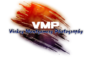 Logo Design by Luken for Vickey Montgomery Photography | Design #1910182