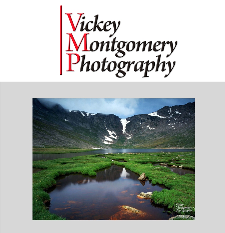 Logo Design by HADI for Vickey Montgomery Photography | Design #1896749